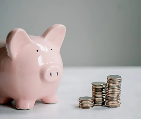 microgranturi 5000 de euro